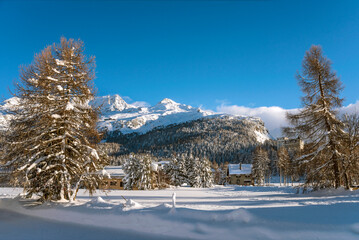 Winterlandschaft in Sils-Maria, Oberengadin, Graubünden, Schweiz