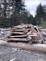 Ocean Beach Driftwood Lean-To Shelter