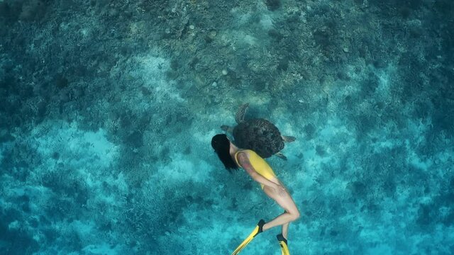 Freediving or snorkeling trips. Large turtle and young girl swimming underwater together in slow motion. Active holidays on islands, on coast of ocean or sea. Unique contact with tropical animals.