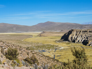 The Altiplano (Highlands) in the north of Chile is not only made of flat plateaus and mountains, but also wetlands rich in flora and fauna.