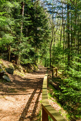 Walking path in the mountains fenced with wooden handrails