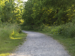 Fototapeta na wymiar Park openings - photo of biking path / trail in Ontario, Canada