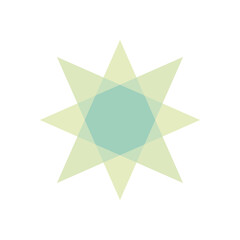 geometric star shape icon, flat style