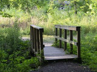 Very short wooden bridge in the middle of the forest