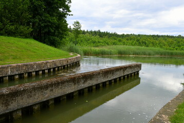 View of a shallow yet vast channel with concrete edges and a concrete middle part located next to a dense forest or moor with the water reservoir being covered from all sides with reeds and grass