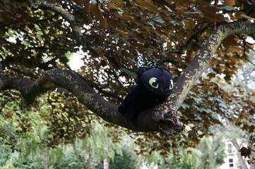 Dragon tree funny
