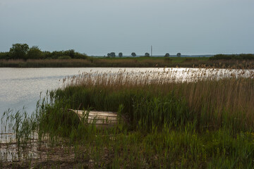 Wooden old and a ruined pier among the reeds on the background of the lake in which reflects the evening sky. After sunset