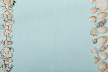 White seashell and smooth sea stones on light blue surface. Copy space. Space for text. Abstract light blue background.
