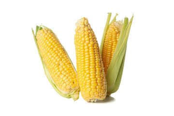 Fresh raw corn isolated on white background