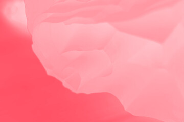 Crimson pink gradient abstract background with blurred lines