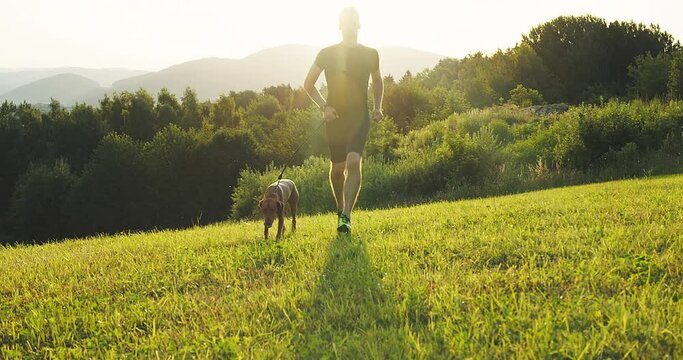 Silhouettes of runner and dog on field under golden sunset sky in evening time. Outdoor running. Athletic young man with his dog are running in nature. 4K video