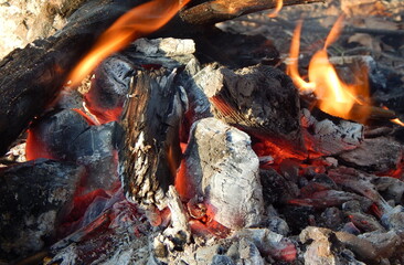 A fire, a flame of fire. Burnt wood logs. Smoking and charred logs.