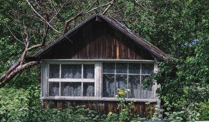 Fototapeta na wymiar old wooden house with curtains among apple trees.
