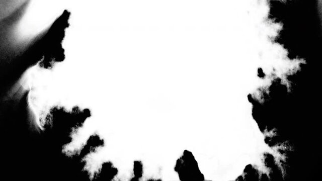 Set of 5 video transitions of wite expanding paint bleeds on black backdrop. Can be used as a graphic element, a luma matte to reveal images or transition between clips.