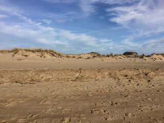 Wavy white clouds and blue sky form over dunes and sandy beach at Cape Henlopen State Park, Lewes, Delaware