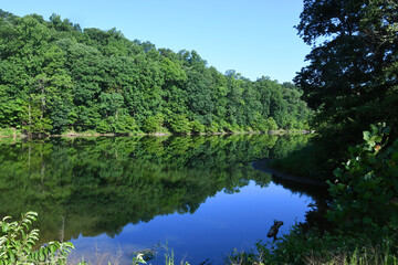 Fototapeta na wymiar Lake Needwood in Montgomery County, Maryland in the morning