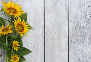 yellow sunflowers on a rustic wood background