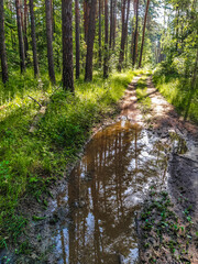 image of a country road in bad weather