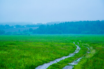 image of a country road in spring after rain