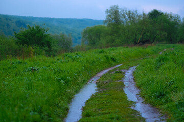 Fototapeta na wymiar image of a country road in spring after rain