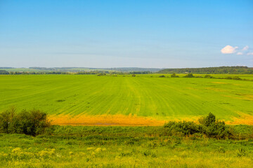 Fototapeta premium the image of a field