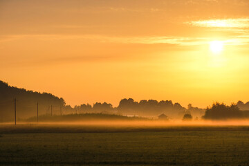 image of a power line on a field at sunset in summer