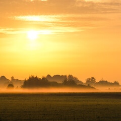 landscape with a summer field at sunset