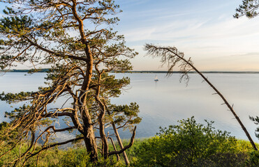 Halbinsel Gnitz auf Usedom Blick auf das Achterwasser