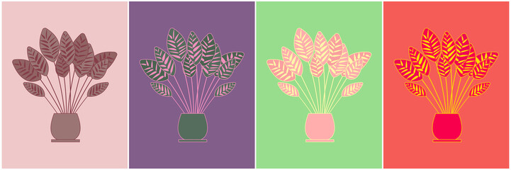 Modern colorful poster with houseplant. Set of covers with dieffenbachia evergreen plant. Artwork for printing, card, modern interior, template design. Vector illustration.