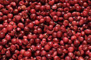 Roter Pfeffer Pfefferkorn Pfefferkörner rot Makro Hintergrund