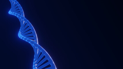 3D render DNA structure  polygonal wireframe DNA isolated background. 3D illustration