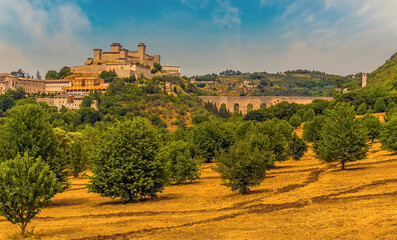 A view across a straw lined olive grove towards the Tower Bridge and the hill top fortress in Spoleto, Italy in summer