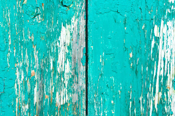 Fototapeta na wymiar Old rustic painted cracky green, turquoise wooden texture or background