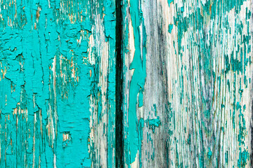 Old rustic painted cracky green, turquoise wooden texture or background