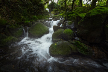 Fototapeta premium small waterfall in the forest