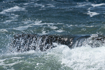 Obraz premium Water splashing over a rock in the atlantic ocean, creating a beautiful image