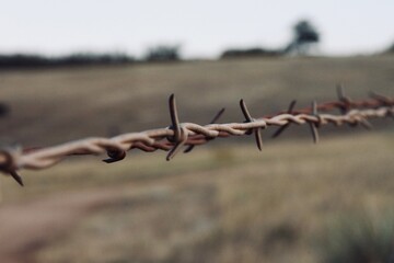 barbed wire fence