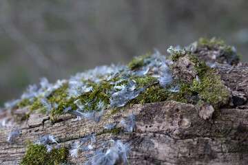 naturaleza 4