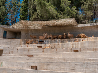 Different shots of mountain goat in captivity