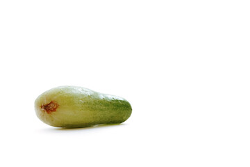 a fresh green cucumber but slightly deformed with an isolated white background with copyspace