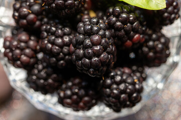 blackberries in a bowl