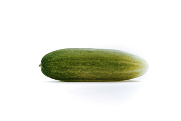 a fresh green cucumber with a background of isolated white background