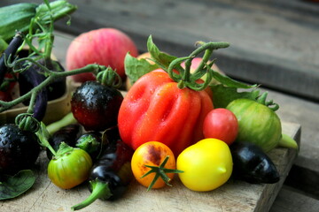 Harvest of tomatoes in different shades on a wooden surface close-up, assorted tomatoes.