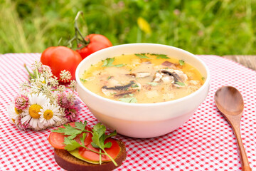 Summer mushroom soup with parsley, croutons, tomatoes on a background of a checkered red napkin in the fresh air. Vegetarian lunch in nature.