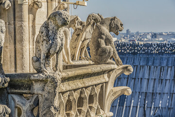 Famous Stone demons gargoyle and chimera on Notre Dame de Paris. View from top of Notre Dame de...