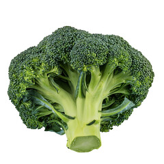 Broccoli isolated on white background