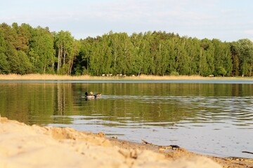 Staw, jezioro © Piotr