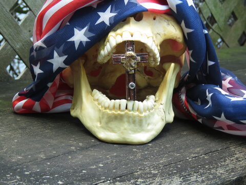 skull in American flag