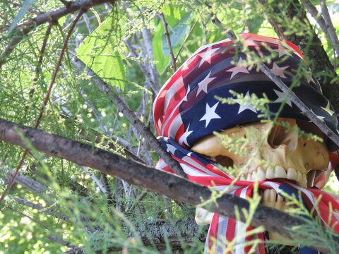 skull in American flag