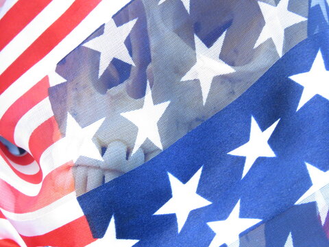 skull in American flag